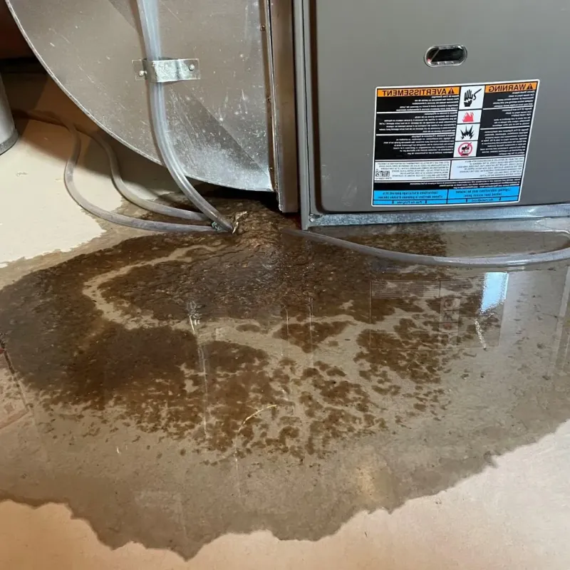 Pipe Burst and Leak Restoration in Berkshire County, MA